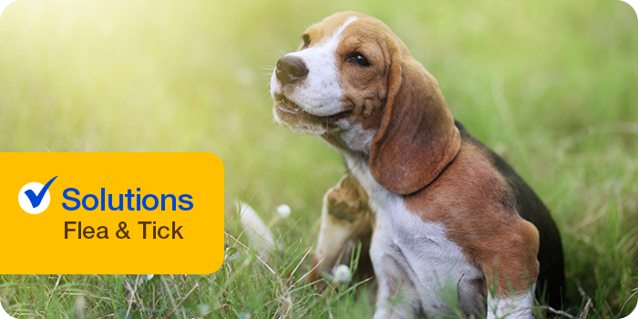 Best Flea and Tick Pet Supermarket Pet Supermarket